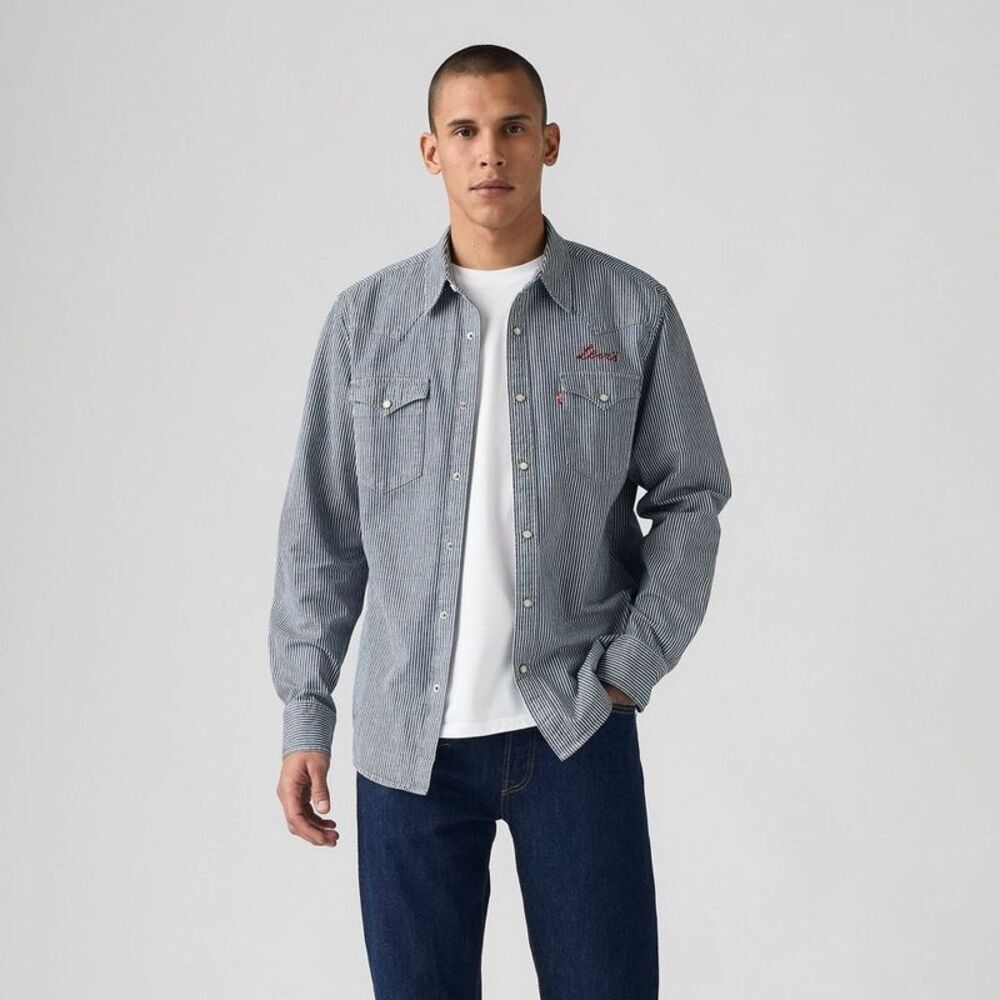 Men's Western Standard Fit Long Sleeve Button-Down Shirt - Railroad Stripe S